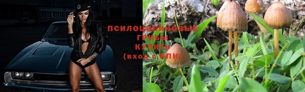 дживик Ладушкин