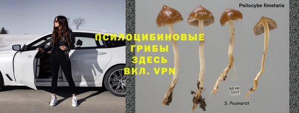 дживик Ладушкин