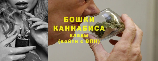 тгк Лагань
