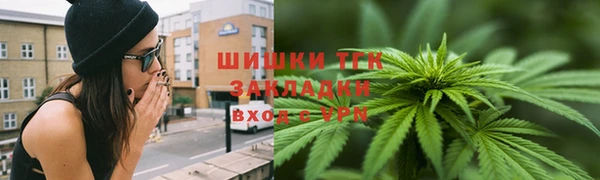 дживик Ладушкин