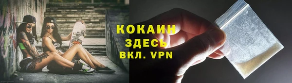 тгк Лагань