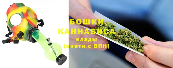 дживик Ладушкин