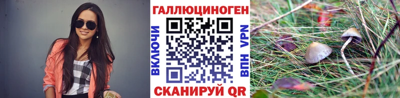 Купить где  Красный Кут  Галлюциногенные грибы мухоморы 